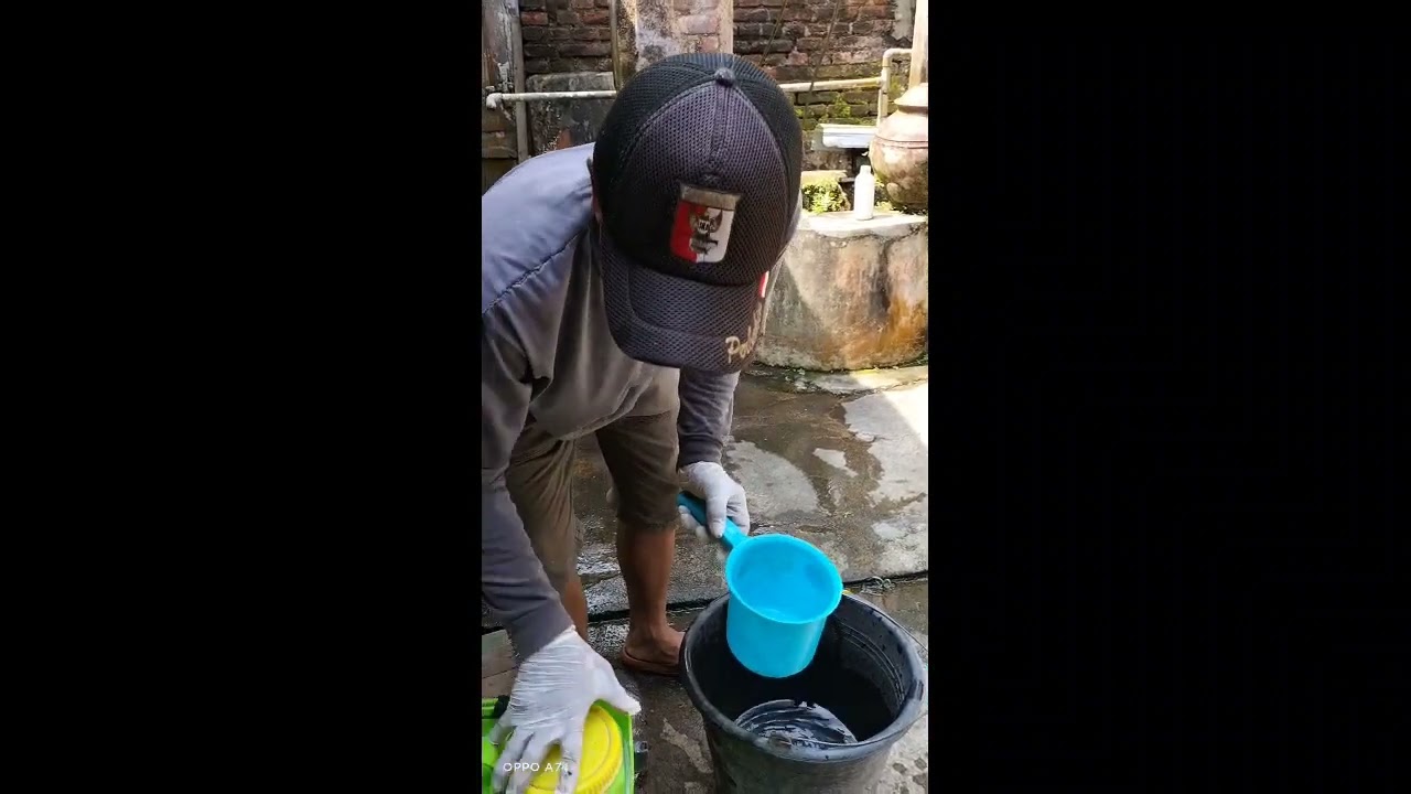 pembuahan/boster kelengkeng dengan cara semprot batang di agrowisata kelengkeng pawone atemo