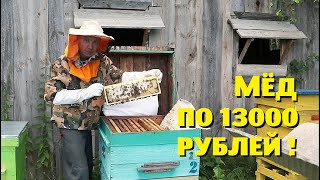 Пасека за 2 месяца и мёд себестоимостью 13000 рублей.