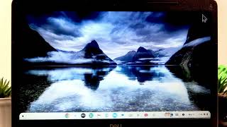 Dell Chromebook 3400 – How to Make It Faster