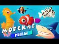 Животные - Морские рыбы для детей - Развивающие видео для малышей