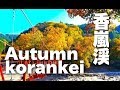 ［HD］秋の香嵐渓の紅葉　 Autumn in korankei 紅葉便り 日本の紅葉