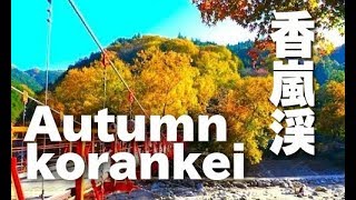［HD］秋の香嵐渓の紅葉　 Autumn in korankei 紅葉便り 日本の紅葉