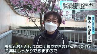 あいにくの天気も3年ぶり　目黒のサクラ