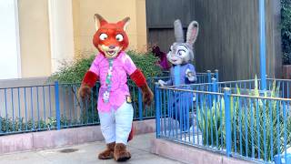 Nick Wilde & Judy Hopps Interacting w/Guests at Disney California Adventure Zootopia 2 Meet & Greet