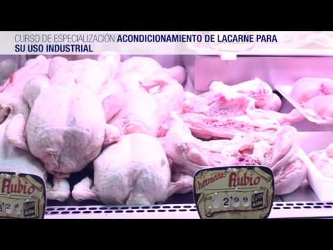 Video: ¿Qué industria llevó a la necesidad de una gran industria de envasado de carne?