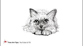 HOW TO DRAW A CAT WITH INK - (Timelapse)