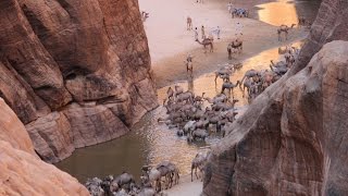 Ennedi-massiv / unesco weltnatur- und kulturerbe 2016