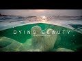 DYING BEAUTY - 4K - Dead Sea Landscape Film - ים המלח  - יופי גוווע