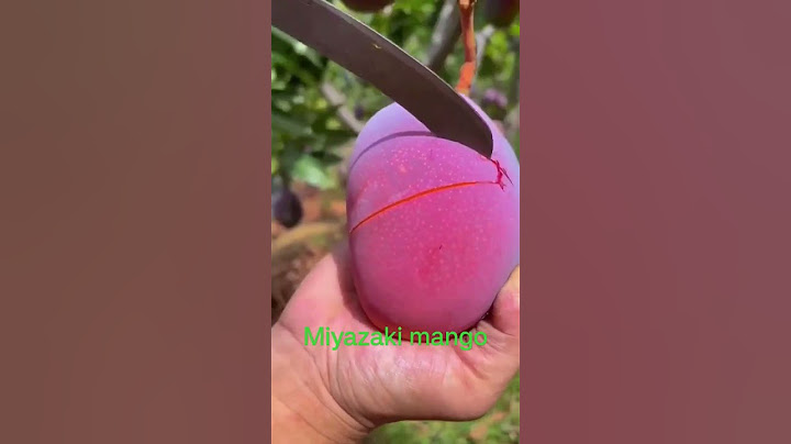 Miyazaki mango|Most expensive japanese mango #mango #miyazaki #mangofarming  #shorts #youtubeshorts