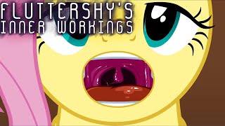 Fluttershy's Inner Workings (2D Animation)