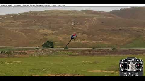 Realflight 8 - Piroflips