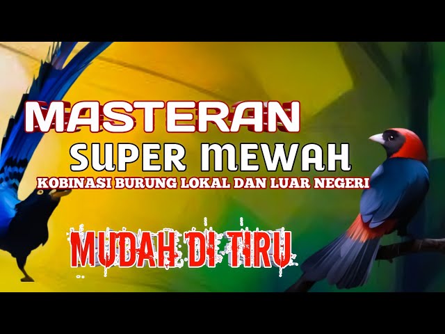 2 jam masteran SUPER MEWAH kombinasi burung lokal dan luar negeri mudah masuk class=