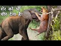 हाथी का हमला इतना ख़तरनाक क्यों होता है? Why Elephant Attack is so dangerous