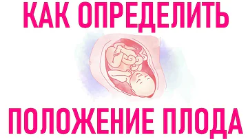 Как лежит ребенок в утробе на 18 неделе