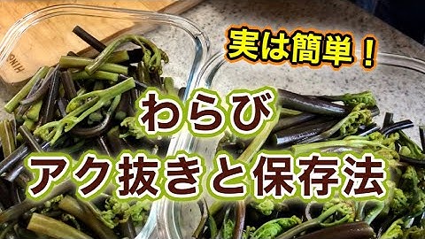 わらびのあく抜き Youtube