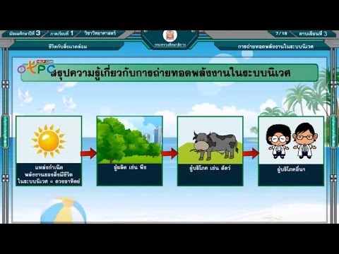 การถ่ายทอดพลังงานในระบบนิเวศ - สื่อการเรียนการสอน วิทยาศาสตร์ ม.3