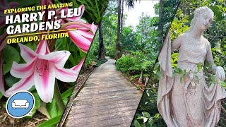 A Walk through the Gardens and History of Harry P. Leu Gardens in Orlando, Florida