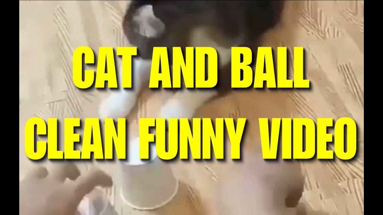 super funny videos clean