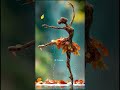 Rooted, wild, and free. 🍂✨#aiart #piclumen #fantasyart #nature  #aesthetic #animation #goodvibes