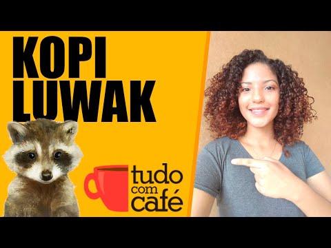 Vídeo: Quanto custa o café kopi luwak?