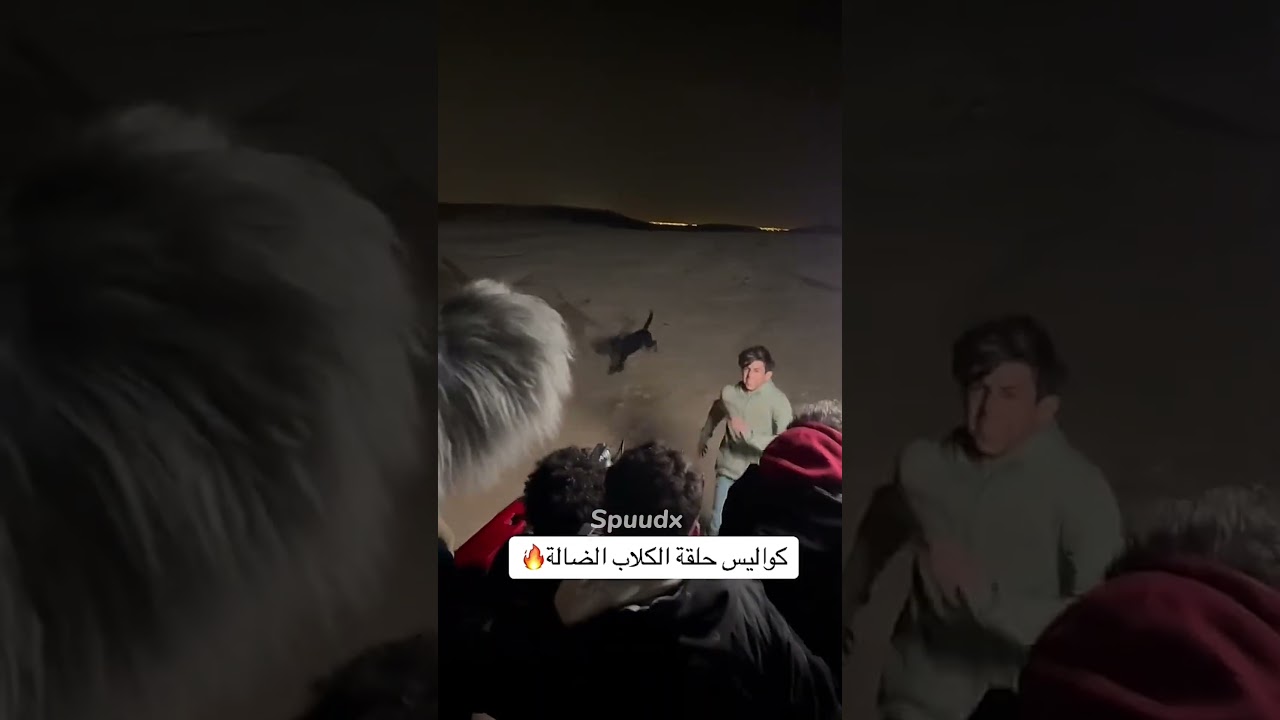 شباب البومب 14 - شوفو سليمان راح فيها الكلاب وراه 😂😅 لايفوتكم🔥/ لايك واشتراك🙏#شباب_البومب ¦ 2026