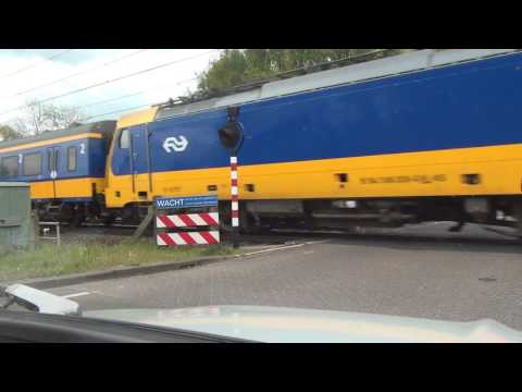 Tongeren Luissel Het Eind Oisterwijk Holland Netherland 1.5.2017 #0141