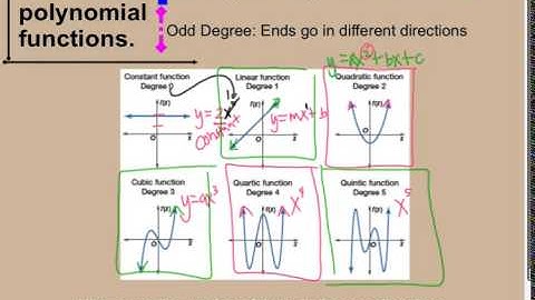 Section 6 4 Polynomial Functions VIDEO