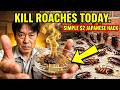 Simple $2 Japanese Hack That Kills ROACHES EVERYWHERE