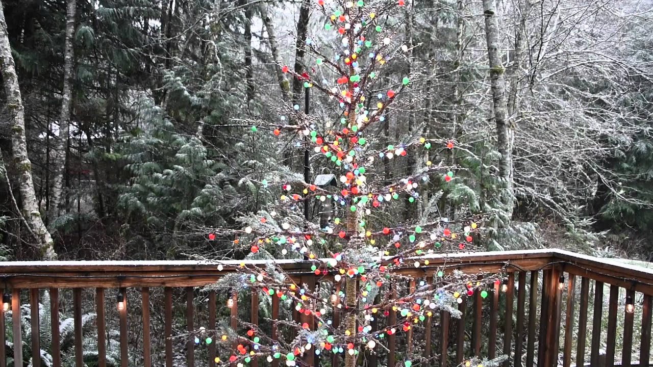 White Christmas Home Bellingham, WA 2015 YouTube