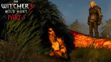 The Witcher 3 (PC) Ultra Settings 60fps Gameplay Part 3 - A Frying Pan, Spick & Span (Side Quest)