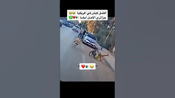 ههه واش دار بيه رياض محرز 