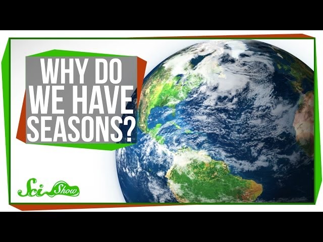 Spring, summer, autumn and winter — why do we have seasons? - ABC News