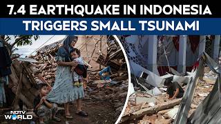 Famous Indonesia Earthquake | 1 Dead In 7.4 Earthquake In Indonesia, Tsunami Warning Lifted Profile
