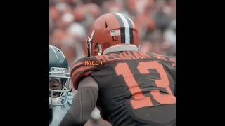 Miami dolphins