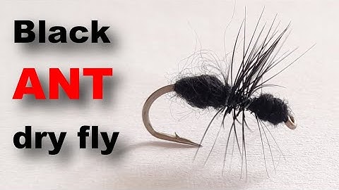 Tying Dry Fly Black Ant | Best for Trout & Grayling Fishing