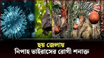 ছয় জেলায় নিপাহ ভাইরাসের রোগী শনাক্ত । Nipah virus | Channel 24