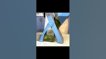 Best Mandoline Slicer of 2024 For multi purpose Use Link in Bio....