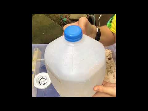 Riverbed Experiment