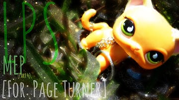 LPS MEP Outside (Part 4) [For: Page Turner™]