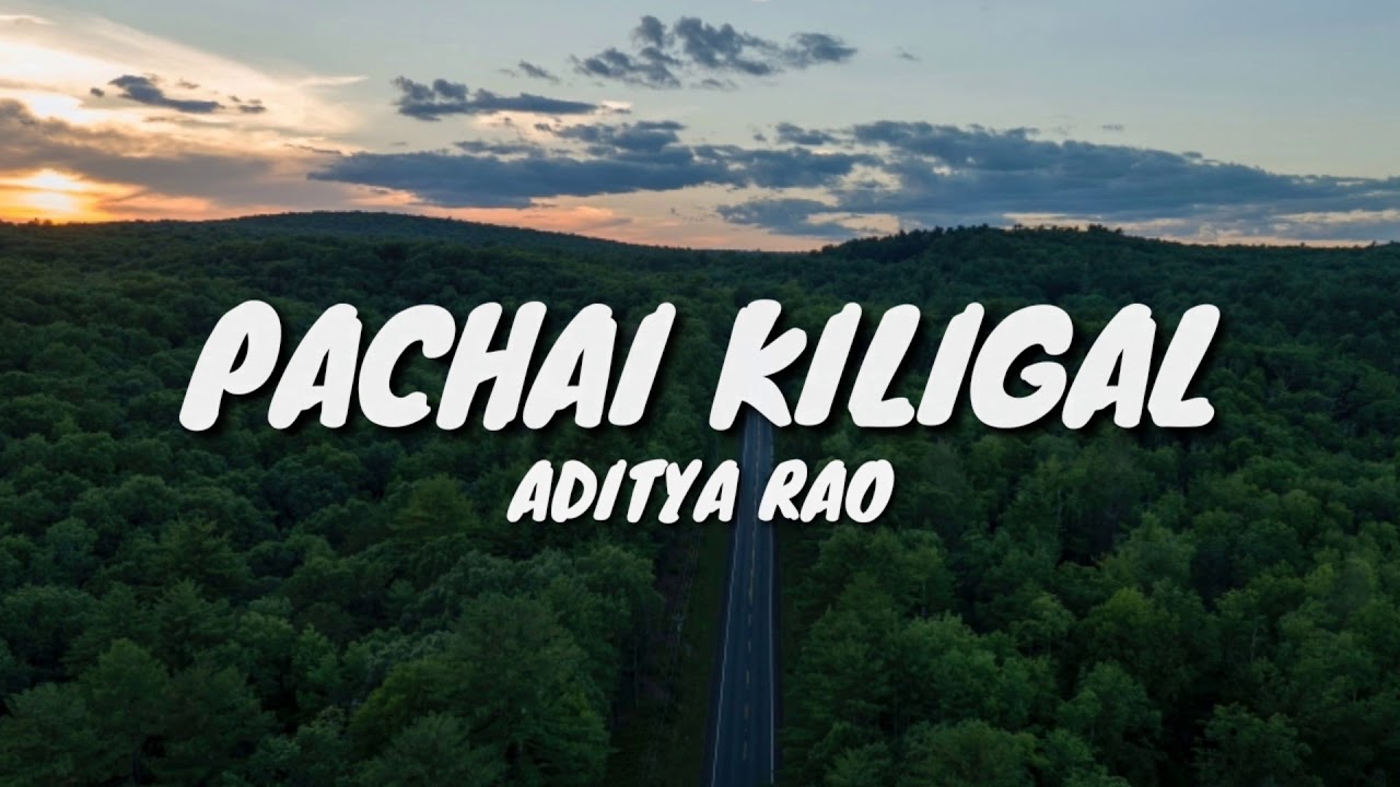 Pachai Kiligal Lyrics ft Aditya Rao