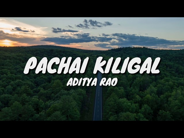 Pachai Kiligal Lyrics-ft Aditya Rao