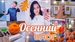 видео: ПОКУПКИ/ ТЕСТИРУЮ АРОМАТЫ/ ПРОГУЛКИ/ ХЭЛЛОУИН/ ШОПИНГ/ ПОКУПКИ ОСЕНЬ семья США ВЛОГ #парфюм #vlog картинка: ПОКУПКИ/ ТЕСТИРУЮ АРОМАТЫ/ ПРОГУЛКИ/ ХЭЛЛОУИН/ ШОПИНГ/ ПОКУПКИ ОСЕНЬ семья США ВЛОГ #парфюм #vlog