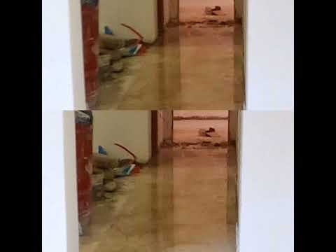 رخام بريشيا داينو وابيض تركي