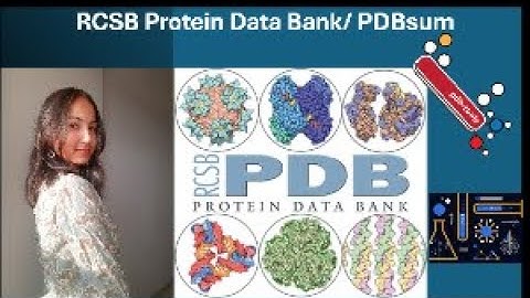 RCSB Protein Data Bank | PDBsum | RCSB PDB & PDBsum Website