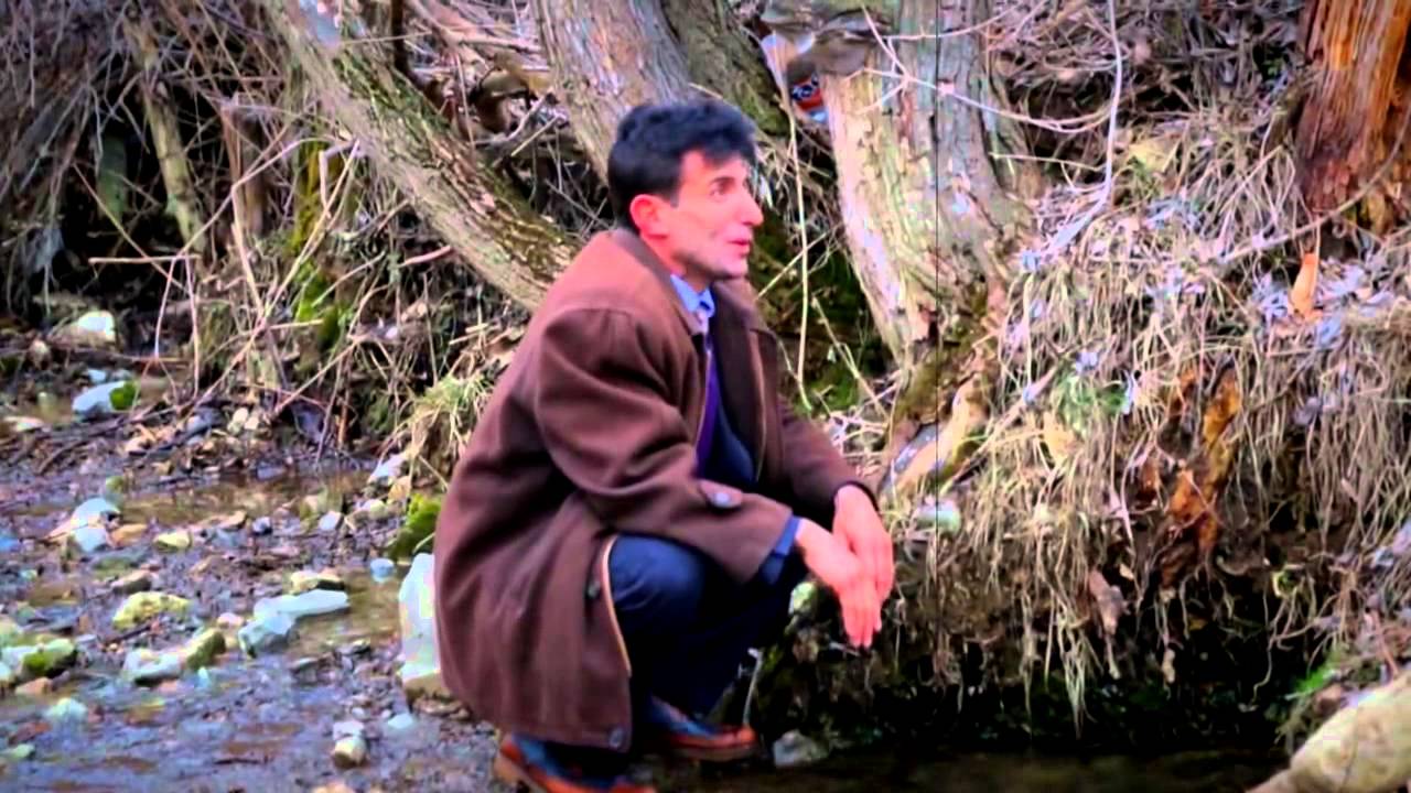 Mustafa Özer - Kozağaç Yaylası (2015)