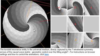 Torus mapping 7 tetra spins