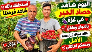 لوجه الله  شاهد دقائق من حياتنا   بالله عليك  لا تحرمنا دعمك   لأجل الله  ادعموا حلمنا    - اسمعها