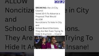 LA City Council Advances Noncitizen Voting Proposal, Sparking Major Debate
