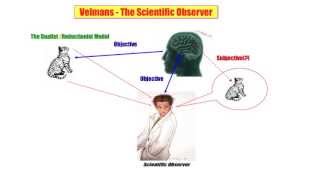 08) Velmans - The Scientific Observer