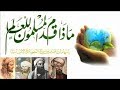 ماذا قدم المسلمون للعالم؟